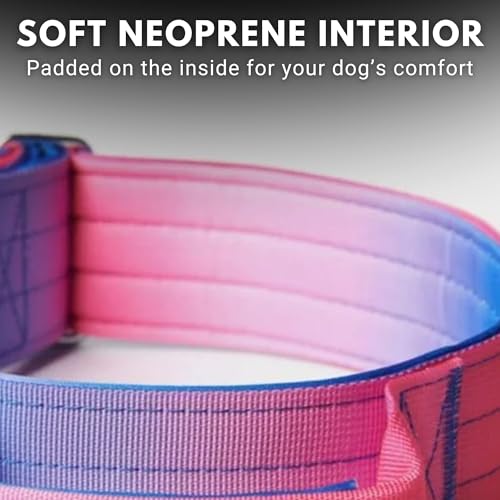 Spark Paws Tactical Dog Collar with Handle - Premium Quality Collar, Robust and Durable Design for Large, Strong Breeds - Pitbulls, Labradors, GSD - Snow Cone - L -1.5" - Image 5