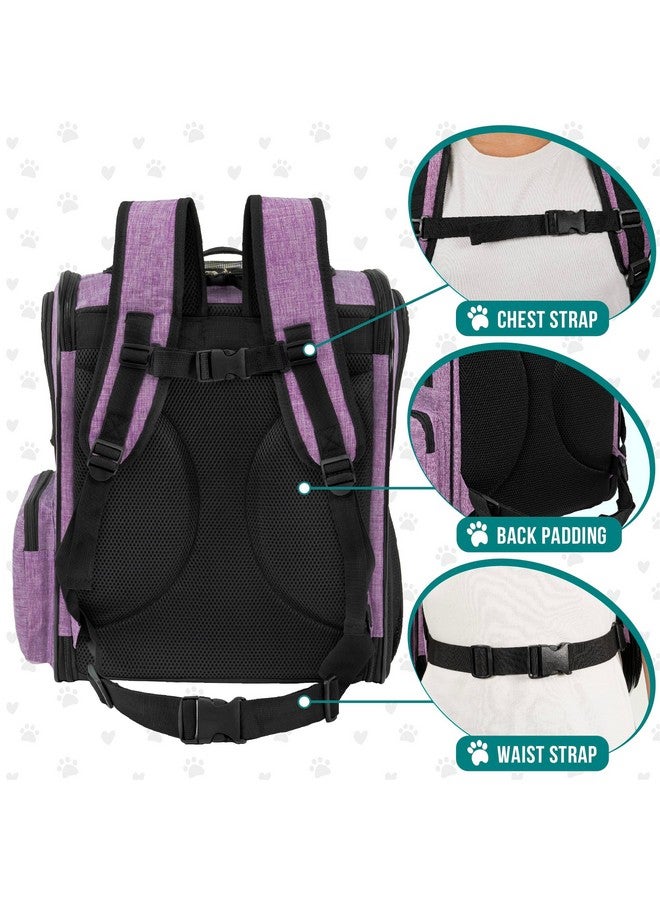 PetAmi Dog Backpack Carrier For Small Large Cat, Pet, Puppies, Ventilated Pet Hiking Backpack Travel Bag, Airline Approved Cat Backpack Carrier, Safety Back Support, Camping Biking, Max 18 lbs, Purple - Image 4