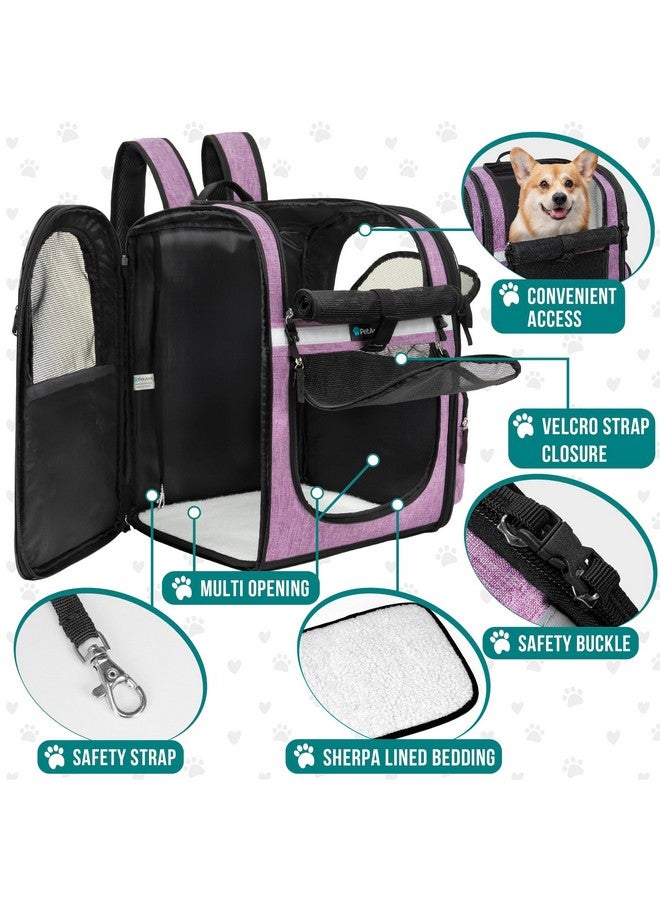 PetAmi Dog Backpack Carrier For Small Large Cat, Pet, Puppies, Ventilated Pet Hiking Backpack Travel Bag, Airline Approved Cat Backpack Carrier, Safety Back Support, Camping Biking, Max 18 lbs, Purple - Image 3