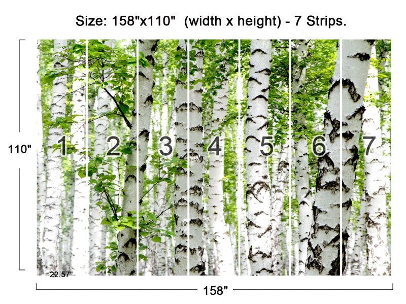 Cliouar-Photo Wallpaper Birch Forest Landscape Trees Poster Nature Lovers Green Forest Bedroom Decoration Mural 158"x110"(Not Self-Adhesive) - Image 4