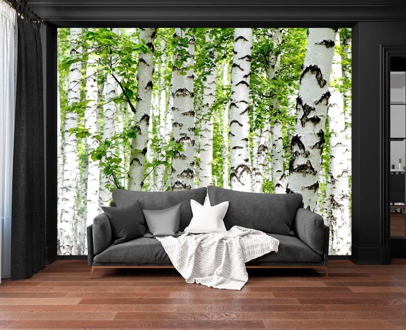 Cliouar-Photo Wallpaper Birch Forest Landscape Trees Poster Nature Lovers Green Forest Bedroom Decoration Mural 158"x110"(Not Self-Adhesive) - Image 2