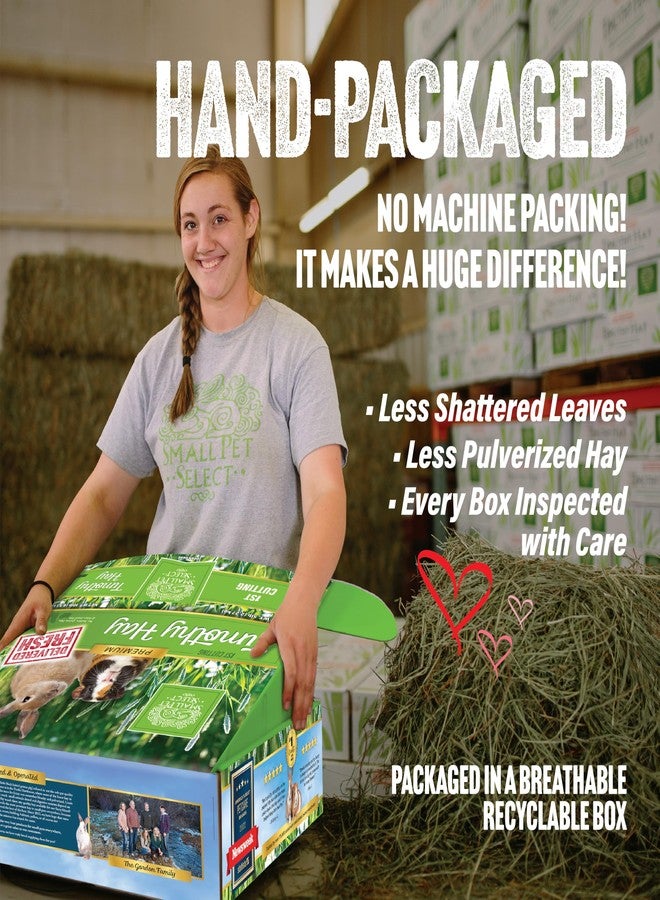 Small Pet Select 1st Cutting Timothy Hay, Animal Food for Guinea Pig, Rabbit, Hamster, Bunny, or Chinchilla, Natural Hay Grown in the USA, 2lb - Image 3