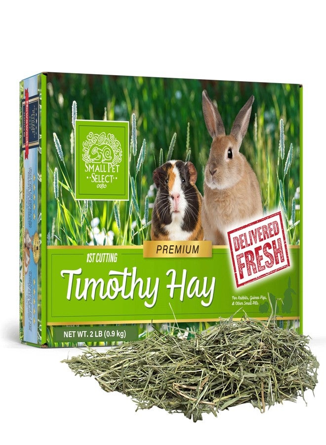 Small Pet Select 1st Cutting Timothy Hay, Animal Food for Guinea Pig, Rabbit, Hamster, Bunny, or Chinchilla, Natural Hay Grown in the USA, 2lb - Image 1