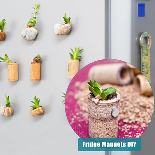 SNOOGG 30 Pc of 12X1.5 mm Rare Earth Magnets Neodymium Disc Magnet for Whiteboard Fridge, Crafts,Whiteboard, DIY, Science, Office (Use for 14 year age and above only), 30 Piece - Image 3