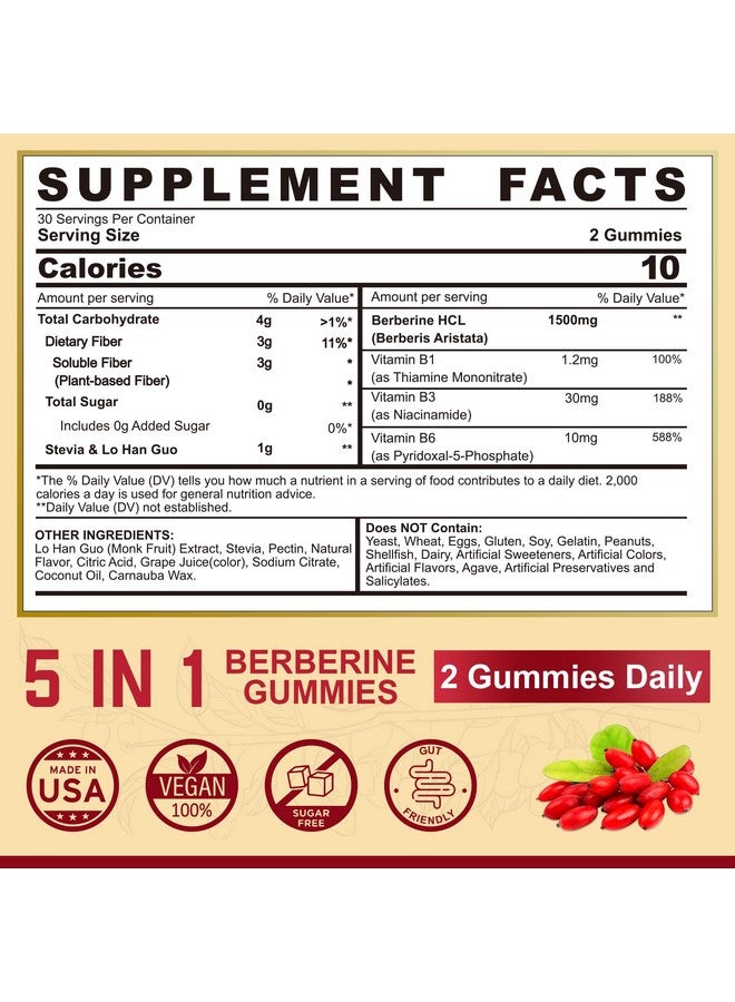 EnvyCure Berberine Supplement 1500mg with Soluble Fiber, B1, B3 & B6, Sugar Free Berberine HCL Gummies, High Bioavailability AMPK Activitor for Metabolism Balanced, Daily Digestive & Body Management, 60 Cts - Image 2