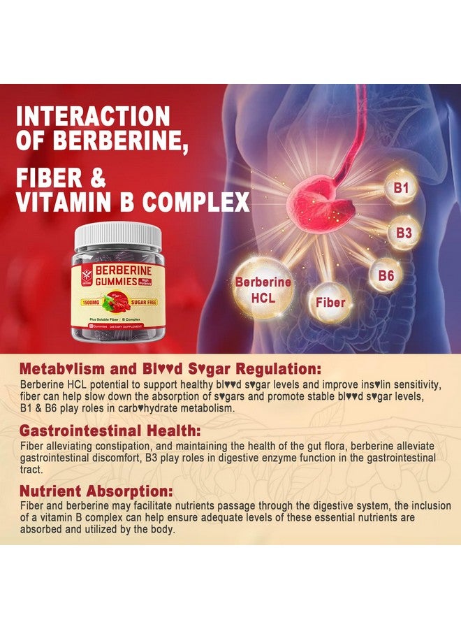 EnvyCure Berberine Supplement 1500mg with Soluble Fiber, B1, B3 & B6, Sugar Free Berberine HCL Gummies, High Bioavailability AMPK Activitor for Metabolism Balanced, Daily Digestive & Body Management, 60 Cts - Image 3