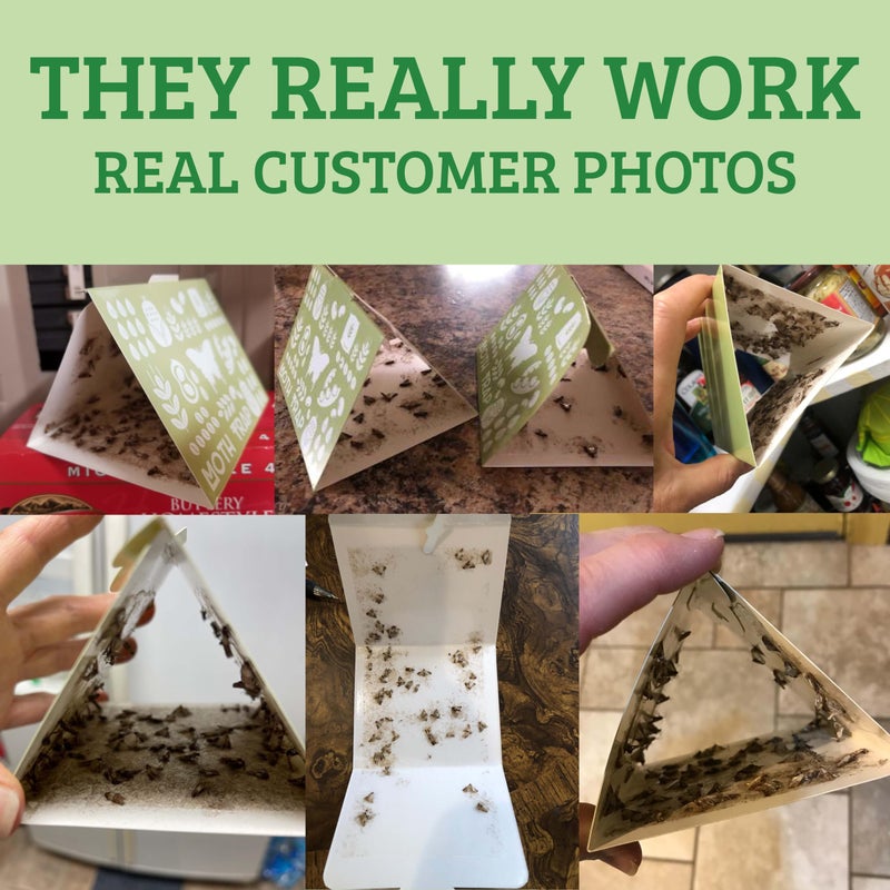 Professor Killamoth Superior Pantry Moth Traps with Pheromones Prime | No Insecticides | Safe, Non-Toxic and Child and Pet Friendly | Superior Attractant - 6 Traps - Image 2