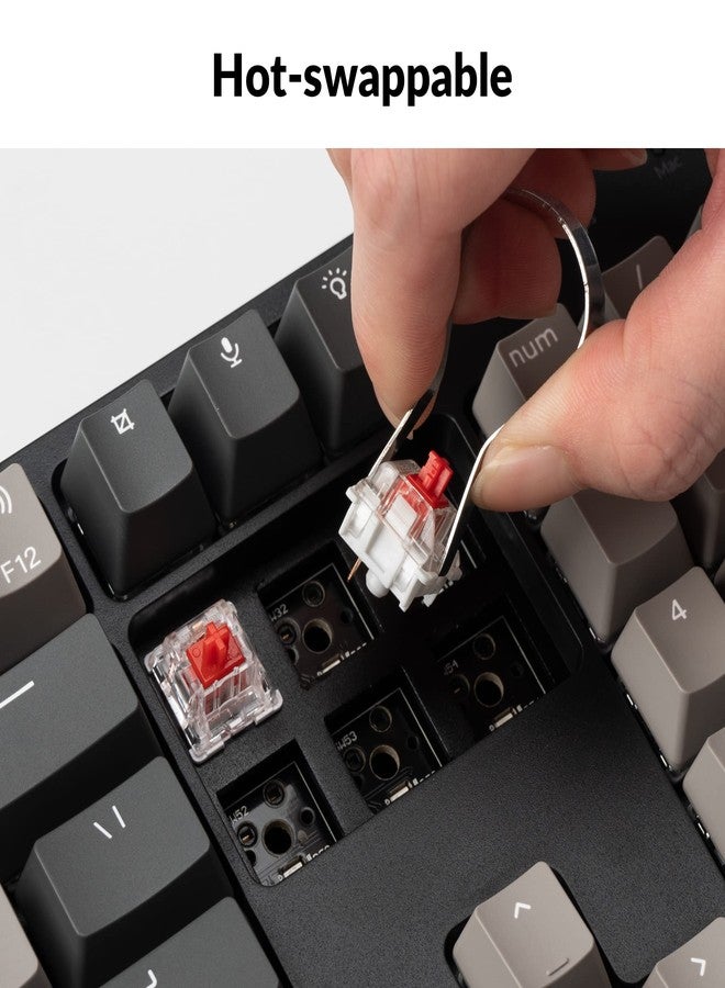Keychron C2 Pro Wired Custom Mechanical Keyboard Full Size Layout QMK/VIA Programmable Macro RGB Backlit with Hot-Swappable Keychron K Pro Red Switch OEM Profile PBT Keycaps for Mac Windows Linux - Image 3