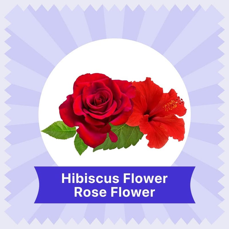 BLUE TEA - Hibiscus Rose Tea - 60 Tea Bags - Plant Based || SKIN GLOW ENHANCING TEA || Caffeine Free - Flower Based - Tangy Flavor - Vegan - Gluten Free - Non-GMO - Herbal Tea | Ziplock Pouch - Image 2