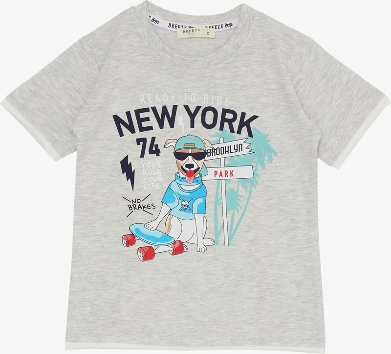 Breeze Boy Shorts Set Cute Free Skateboarder Puppy Printed 2-6 Years, Light Gray Melange