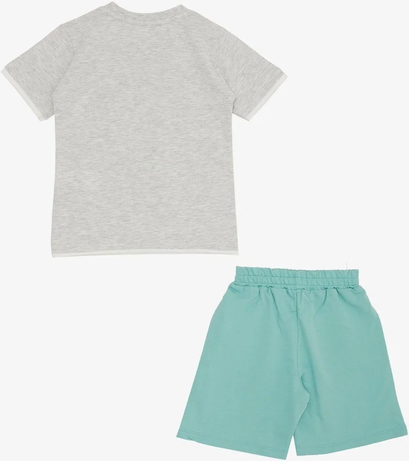 Breeze Boy Shorts Set Cute Free Skateboarder Puppy Printed 2-6 Years, Light Gray Melange
