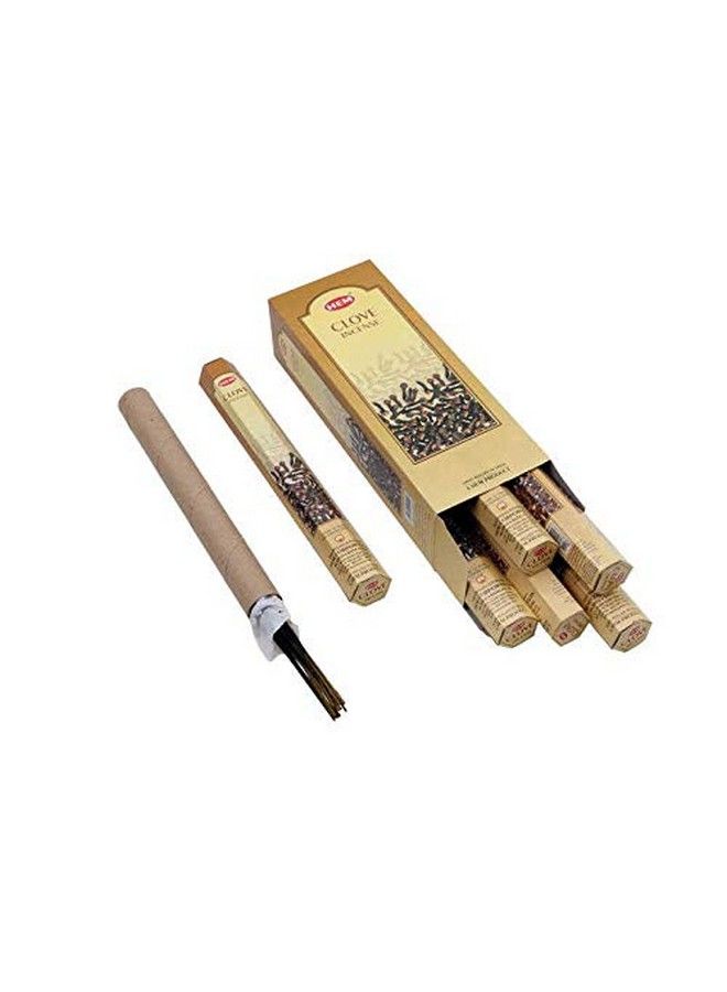 HEM Clove Box Of Six 20 Stick Hex Tubes Hem Incense Hand Rolled In India  - Image 1