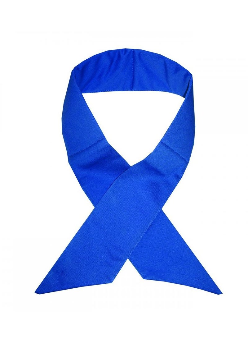 TECHNICHE 6520+ Deluxe Cooling Neck Band Blue - Image 1