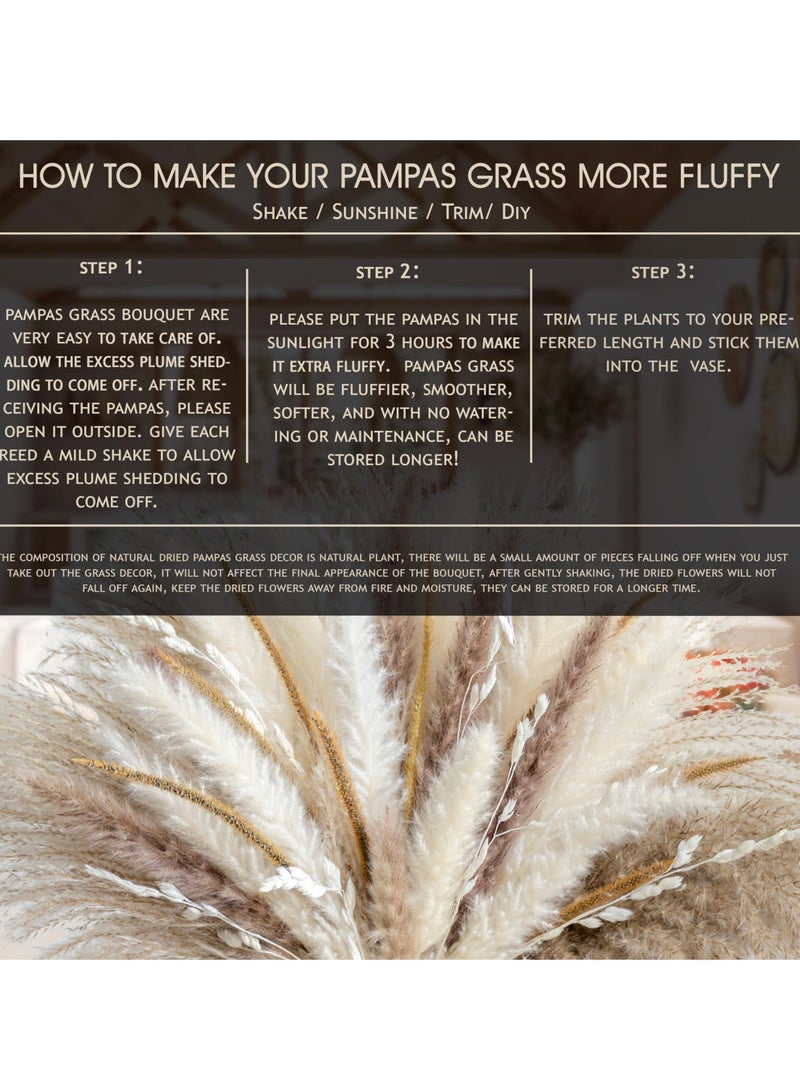 Natural Dried Pampas Grass for Home Decor Boho Decor Bouquet Phragmites Dried Flowers Bouquet for Wedding Floral Arrangements Home Decorations (80PCS) - Image 5