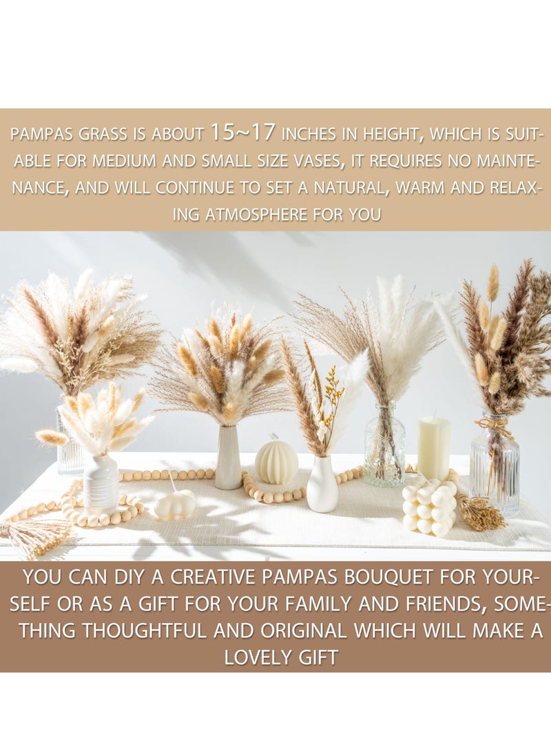 Natural Dried Pampas Grass for Home Decor Boho Decor Bouquet Phragmites Dried Flowers Bouquet for Wedding Floral Arrangements Home Decorations (80PCS) - Image 3