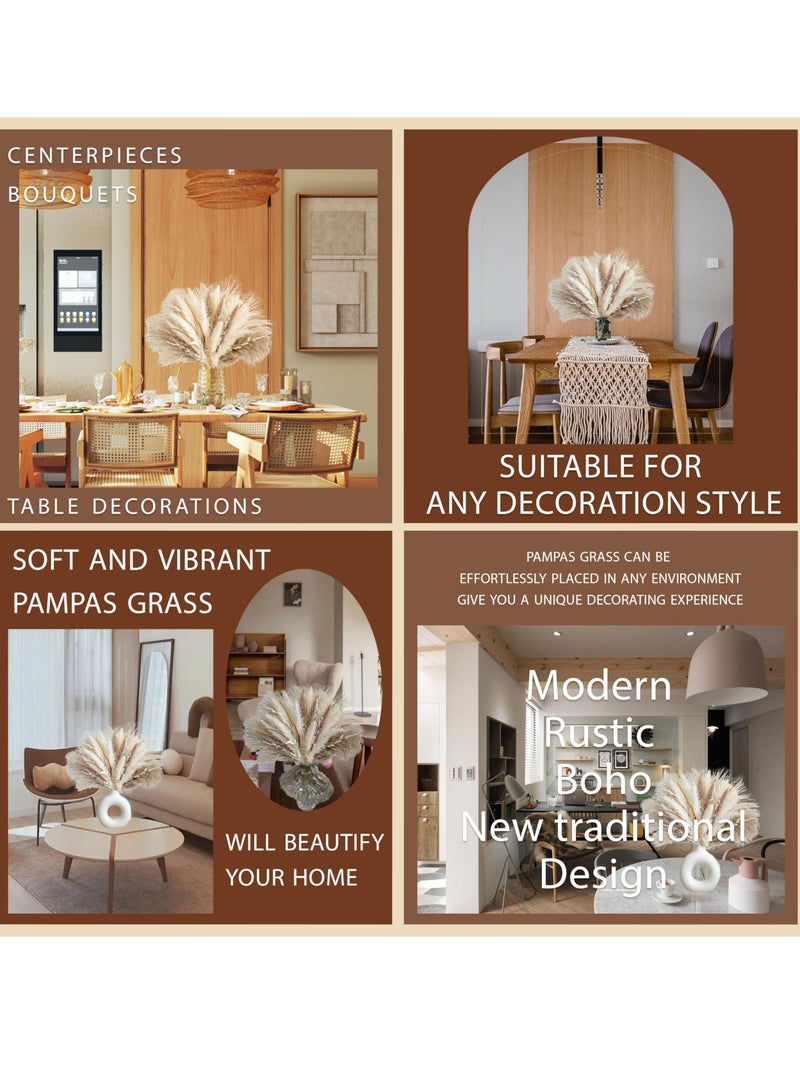 Natural Dried Pampas Grass for Home Decor Boho Decor Bouquet Phragmites Dried Flowers Bouquet for Wedding Floral Arrangements Home Decorations (80PCS) - Image 2