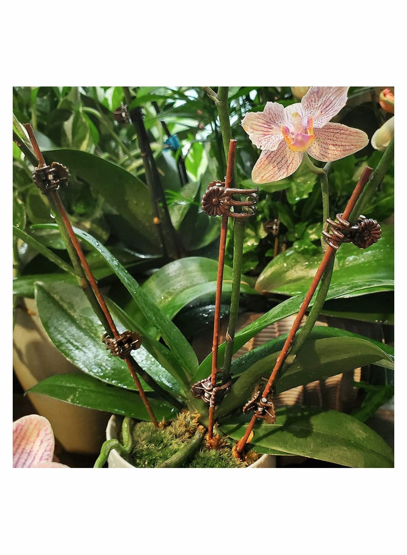 Y&D 100Pieces Plant Clips Orchid Support Flower and Vine for Supporting Stems Vines Grow Upright  - Image 4