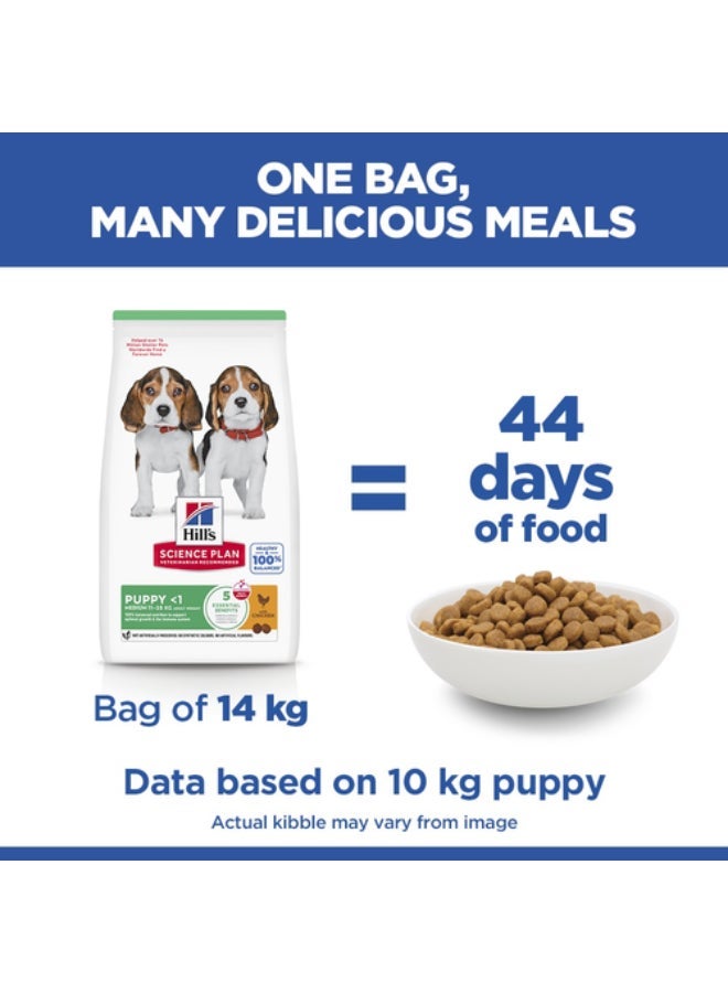 Hills Science Plan Medium Puppy Dry Dog Food with Chicken 800g Complete & Balanced Nutrition DHA for Brain Development Immune Support - Image 3