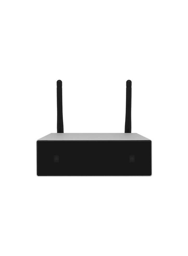 DSPPA DW-0250(2*35W) WIFI Streaming Amplifier - Image 1