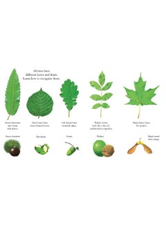 Trees  - Image 3