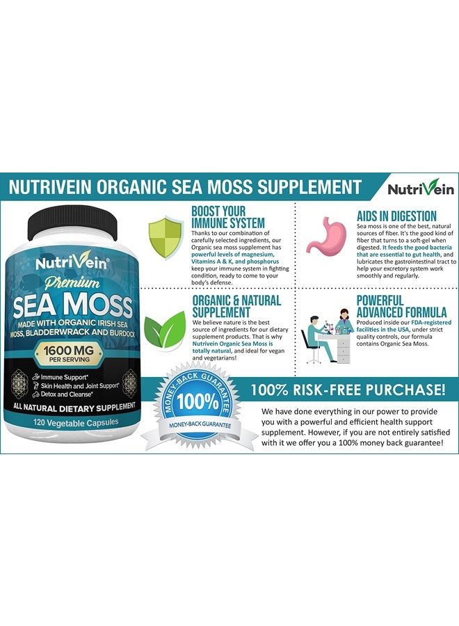 Nutrivein طحالب بحرية عضوية من نيوتريفين 1600 ملجم - عشبة البحر والأرقطيون - 120 كبسولة - Image 2