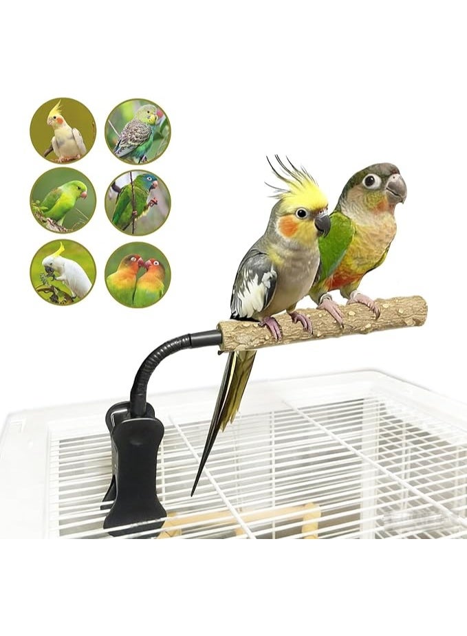 YdingYshengL Adjustable Parrot Perch Stand with Training Clip, Bendable Wood Play Gym for Cockatiels, Conures, Lovebirds, Portable Trash Can Mount - Image 1