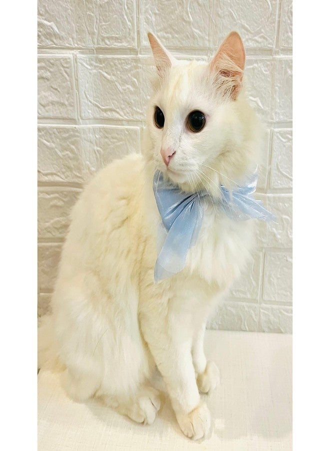 Lulala Adjustable Bow Tie Collar for Cats - Soft and Stylish Pet Neck Accessories for Kittens and Adult Cats - Image 2