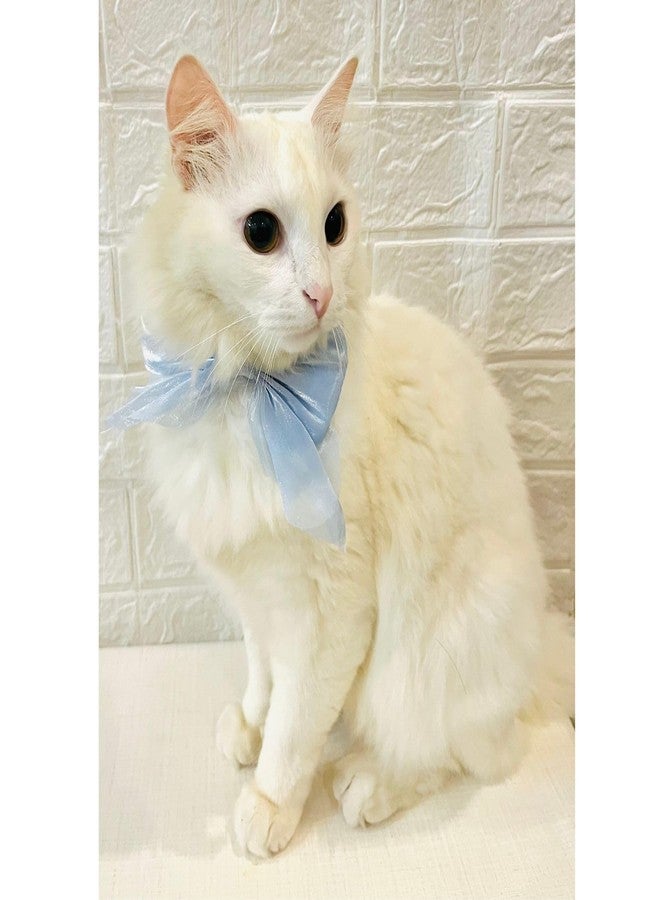 Lulala Adjustable Bow Tie Collar for Cats - Soft and Stylish Pet Neck Accessories for Kittens and Adult Cats - Image 4