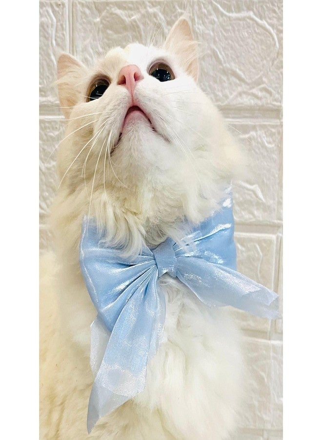 Lulala Adjustable Bow Tie Collar for Cats - Soft and Stylish Pet Neck Accessories for Kittens and Adult Cats - Image 1