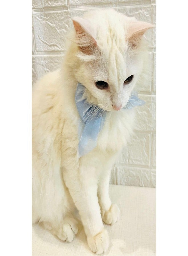 Lulala Adjustable Bow Tie Collar for Cats - Soft and Stylish Pet Neck Accessories for Kittens and Adult Cats - Image 3