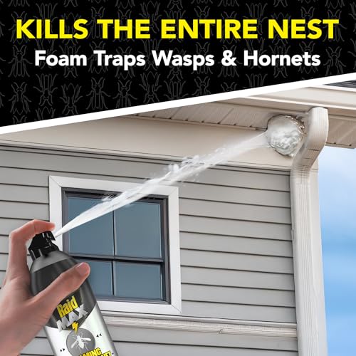 Raid Max Foaming Wasp & Hornet Killer, Fast Coverage Foam, Bug Killer Kills The Entire Nest, 16.5 oz - Image 3