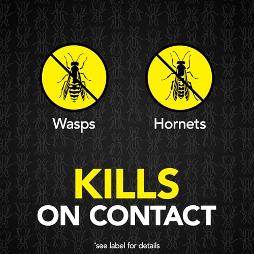 Raid Max Foaming Wasp & Hornet Killer, Fast Coverage Foam, Bug Killer Kills The Entire Nest, 16.5 oz - Image 2