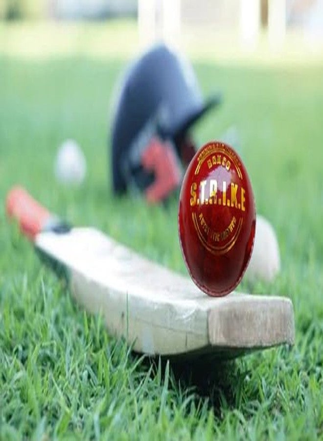 BOXCO Strike Hand Stitched Four Piece Cricket Leather Ball for T20, Club and Tournament Matches, Durable Red Leather Ball Pack of 6, for Long Lasting Performance (Pack of 6) (Red) - Image 3