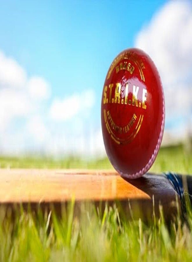 BOXCO Strike Hand Stitched Four Piece Cricket Leather Ball for T20, Club and Tournament Matches, Durable Red Leather Ball Pack of 6, for Long Lasting Performance (Pack of 6) (Red) - Image 5