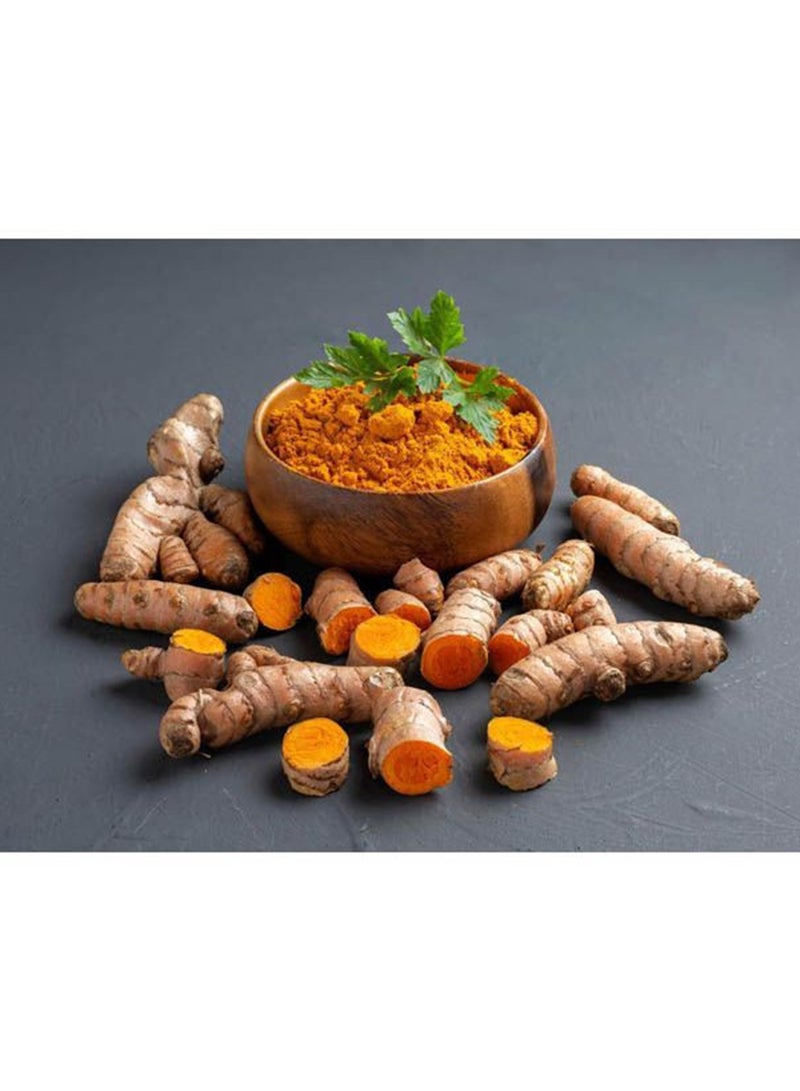 SuperLife  Organic Turmeric Powder Superfood Naturally Occurring Curcumin- 200 Gm - Image 4