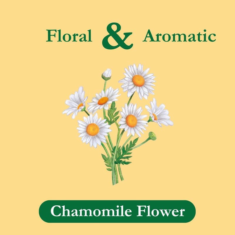 Tadin Chamomile Tea, Herbal Tea, Caffeine Free Tea, Tea Bags Individually Wrapped, 24 Tea Bags Per Box, Pack of 6 - Image 2