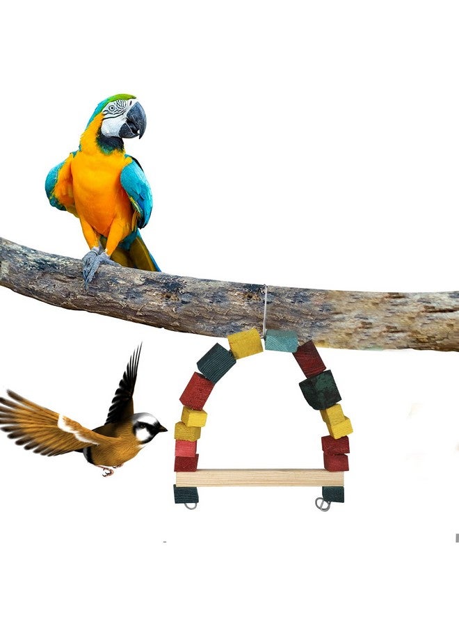 إيميلي بيتس ألعاب أرجوحة الطيور، ألعاب مضغ مع ألعاب قفص معلق للببغاوات الصغيرة، والكوكتيل، والكونيور، والعصافير، والبادجي، والمكاو، والببغاوات، وطيور الحب (متعدد الألوان، عرض 19.5 × ارتفاع 27 سم) - Image 4
