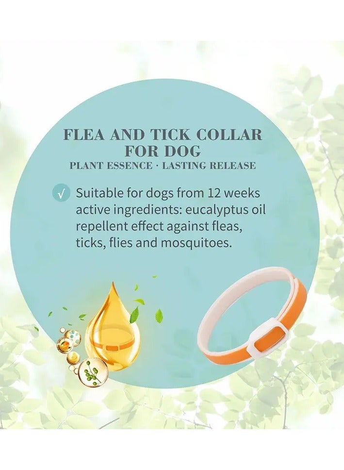 بايولاين طوق بيولين براغيث وقراد 60 سم [نكهة - الأوكالبتوس والليمون] - Image 2