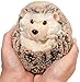 Douglas Spunky Hedgehog Plush Stuffed Animal - Image 3