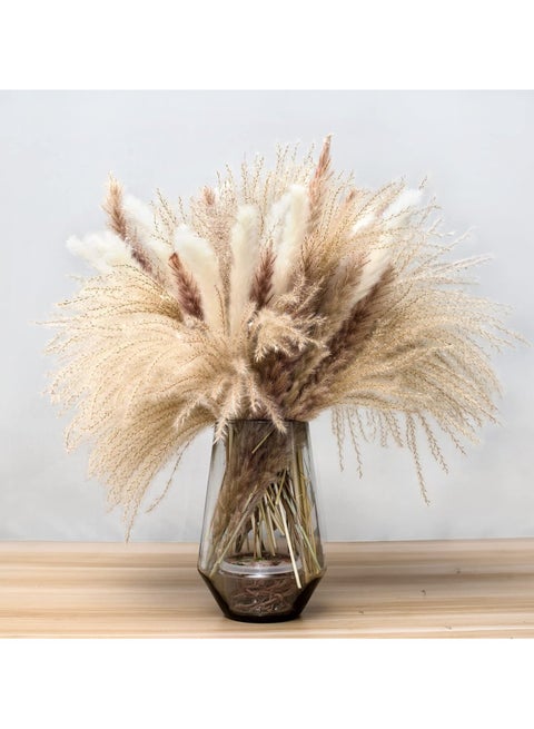 Natural Dried Pampas Grass Bouquet Brown White Reed Pampas Floral Arrangements Decorations for Home Room Office Party Decor (60PCS)