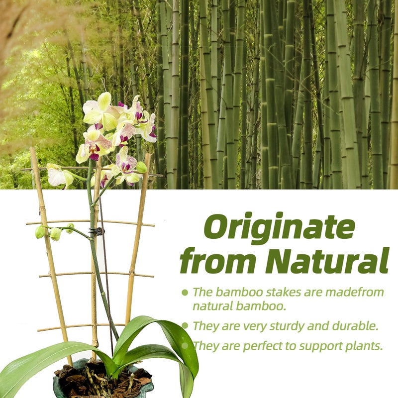 Biotolot 5 Pack 16" Bamboo Trellis for Climbing Plants-Natural Garden Ladder Fan -Shaped Plants Support Trellis for Potted Plant Decor in Door - Image 2