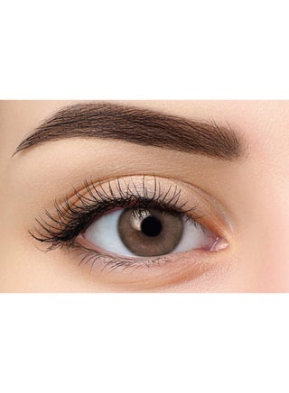 Bonita One-Day Contact Lens TAN Color Plano