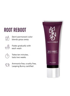 Root Reboot, Piatto 3C, Cool Black Root Touch Up, 10 Minute Hair Color Kit for 100% Gray Coverage, Single Use