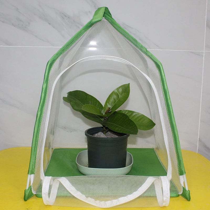 GLOGLOW Observation Cage Enclosure Mesh Terrarium with Fine Transparent Polyester Mesh Side Zipper Door for Small Mantises Butterflies Ornamental Plants - Image 3