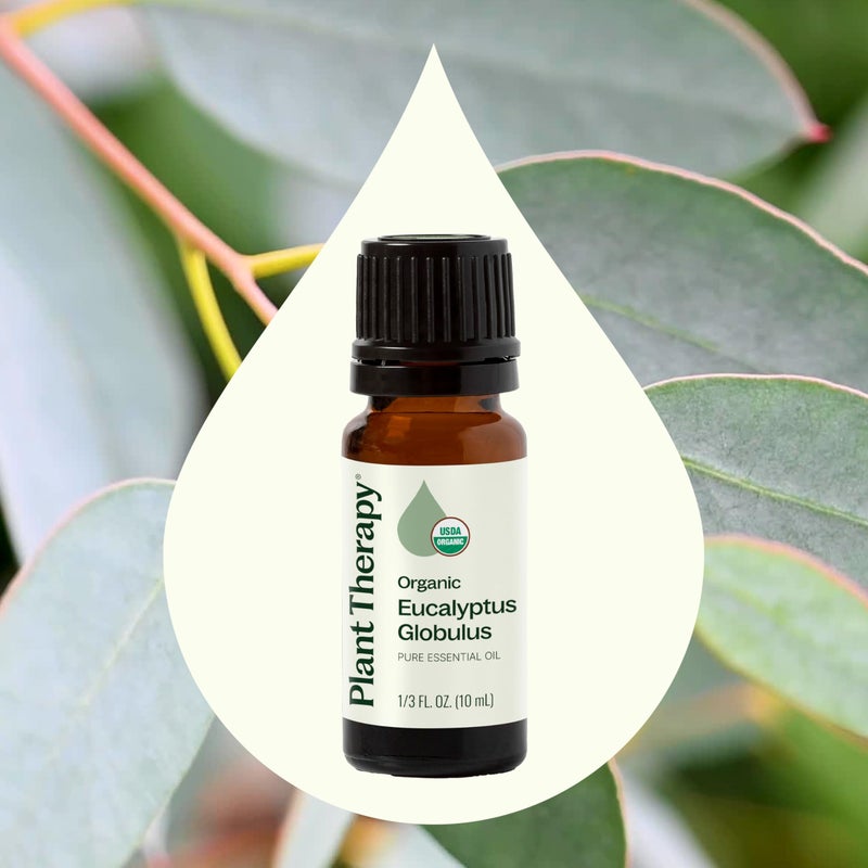 Plant Therapy Organic Eucalyptus Globulus Essential Oil 100% Pure, USDA Certified Organic, Undiluted, Natural Aromatherapy, Therapeutic Grade 10 mL (1/3 oz) - Image 3