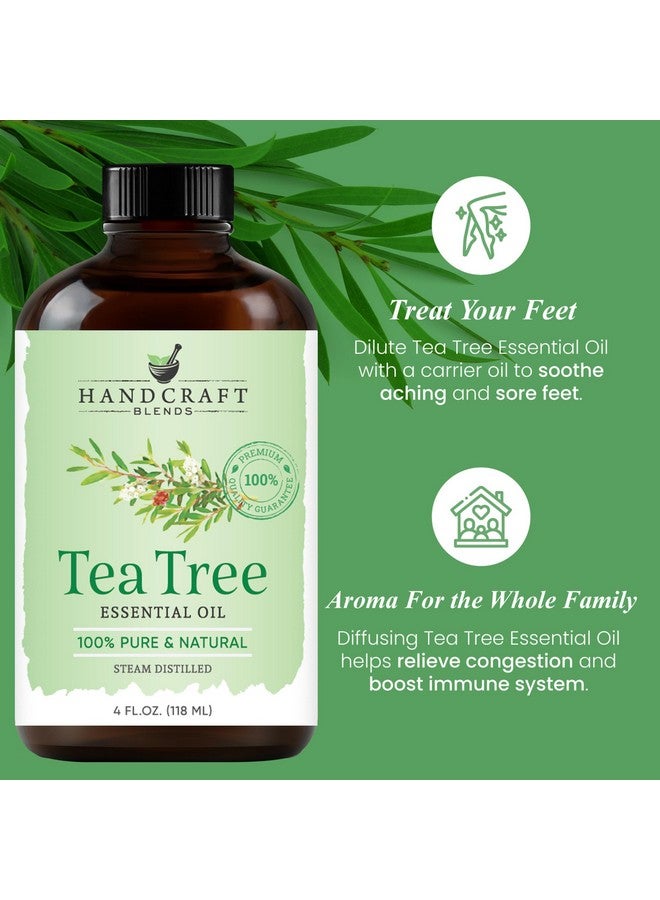 handcraft Blends Tea Tree Essential Oil - Huge 4 Fl Oz - 100% Pure And Natural - Premium Grade Essential Oil For Diffuser And Aromatherapy - Image 5