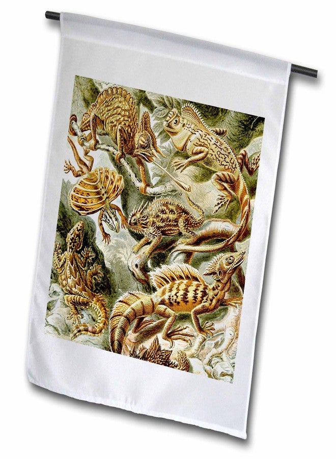 3dRose Lizards and Reptiles Art Print - Reptile Breeds and Species - Animals 18 x 27 inch Garden Flag