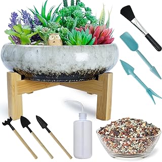 ARTKETTY ARTKETTY Succulent Pots with Drainage - Large Succulent Planters with 2.2lb Mix Horticultural Lava Rock Pebbles,  - Image 1