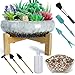 ARTKETTY ARTKETTY Succulent Pots with Drainage - Large Succulent Planters with 2.2lb Mix Horticultural Lava Rock Pebbles,  - Image 2