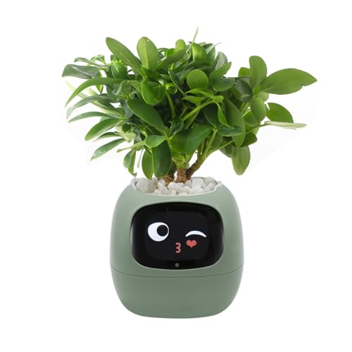 Smart Pet Planter Smart Plant Pot With Artificial Intelligence Time Weather Display And Multiple Expressions AnimationLovely Plant Companion For Desktop Decoration GiftsPlantFree Green